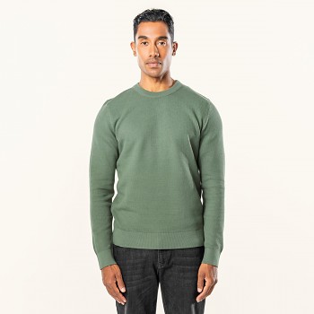 SAFIR  Pánský svetr ze 100% biobavlny - zelená meadow 